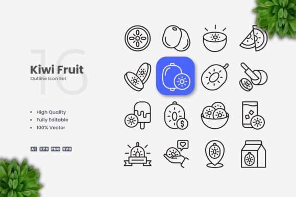 Kiwi Fruit Icons for Graphics and Branding